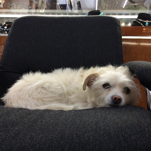 Meet your Posher, Av - Picture 5 of 5